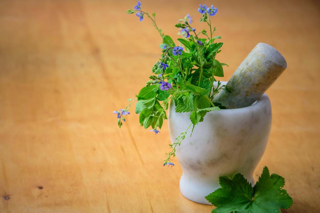 pestle and mortar with fresh herbs