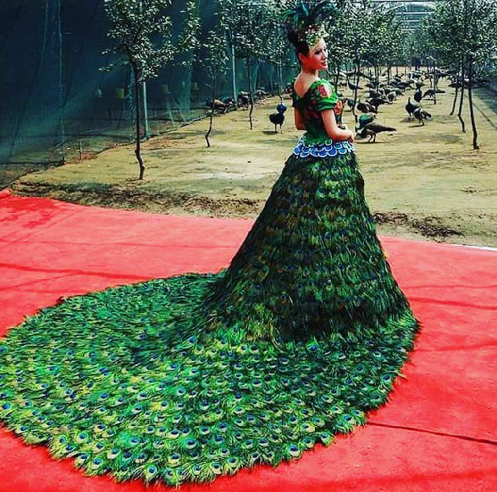 Woman in luxury dress